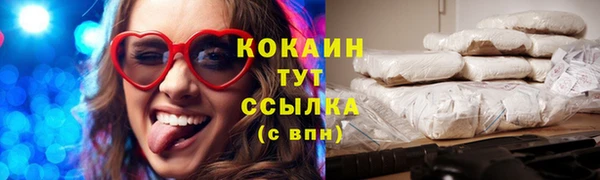гидропоника Гусиноозёрск