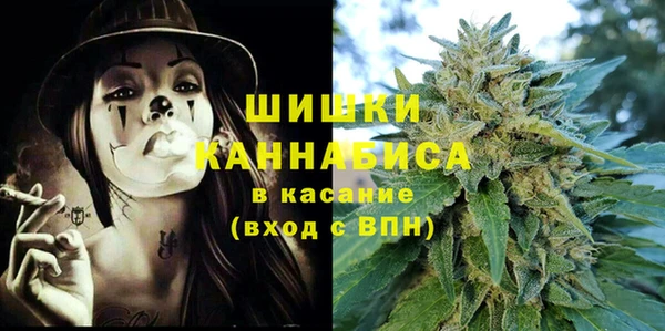 гидропоника Гусиноозёрск