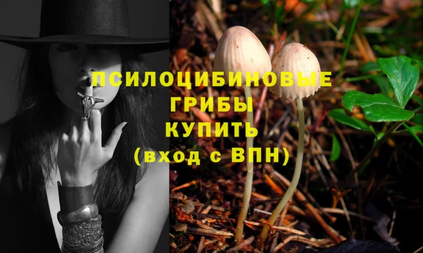 гидропоника Гусиноозёрск