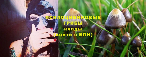 амфетамин Гусь-Хрустальный
