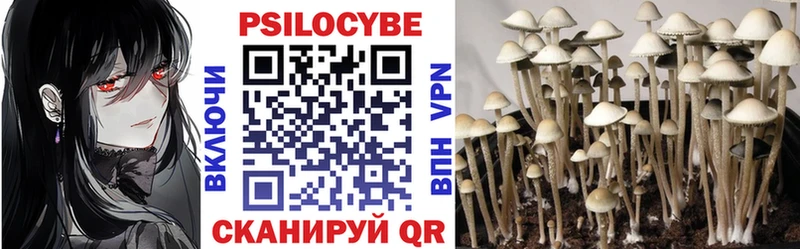 blacksprut вход  Мглин  Галлюциногенные грибы Psilocybe 